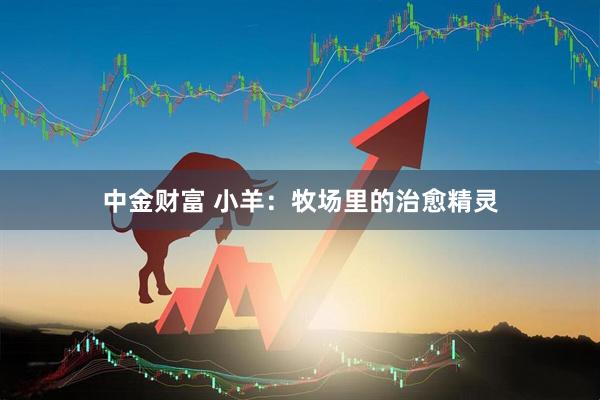 中金财富 小羊:牧场里的治愈精灵