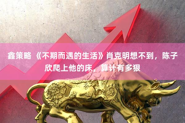 鑫策略 《不期而遇的生活》肖克明想不到，陈子欣爬上他的床，算计有多狠