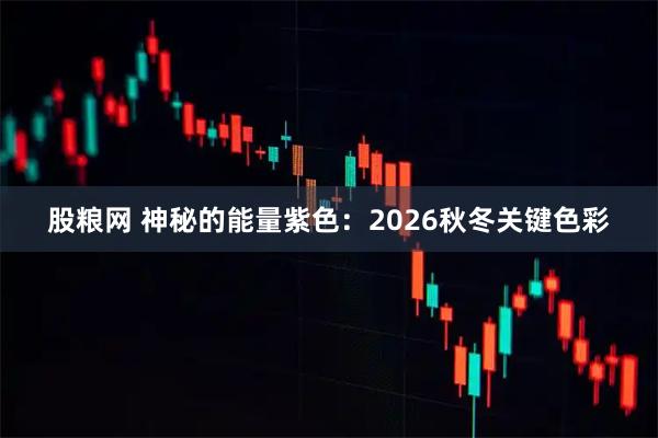 股粮网 神秘的能量紫色：2026秋冬关键色彩