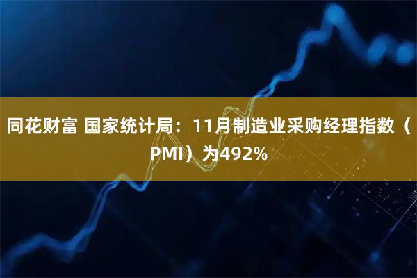 同花财富 国家统计局：11月制造业采购经理指数（PMI）为492%